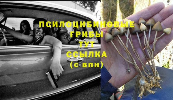 крисы Алексин