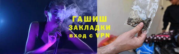 крисы Алексин