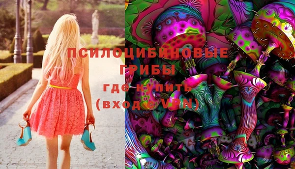 крисы Алексин