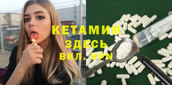 крисы Алексин